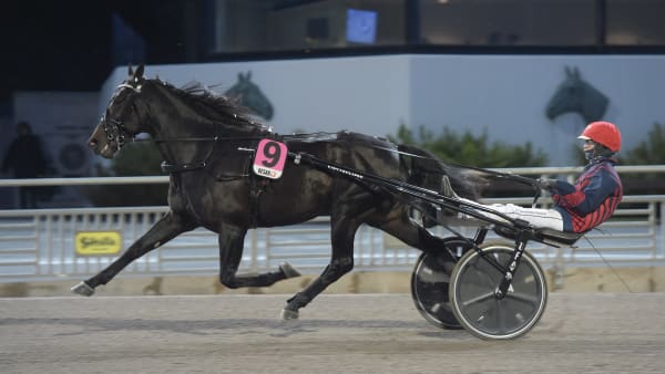 Foto: LARS JAKOBSSON / TR BILD