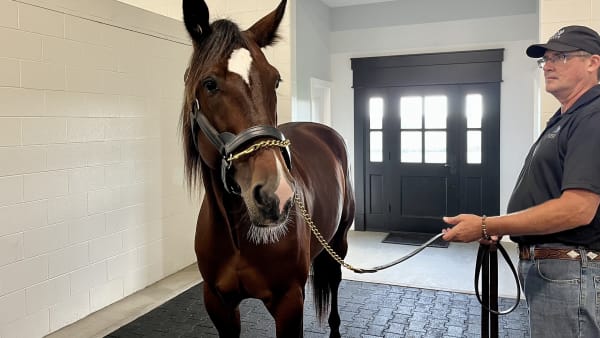 Foto: MATTIAS HOLMGREN/TR BILD