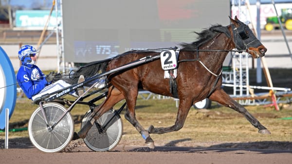 Foto: MALIN ALBINSSON / TR BILD