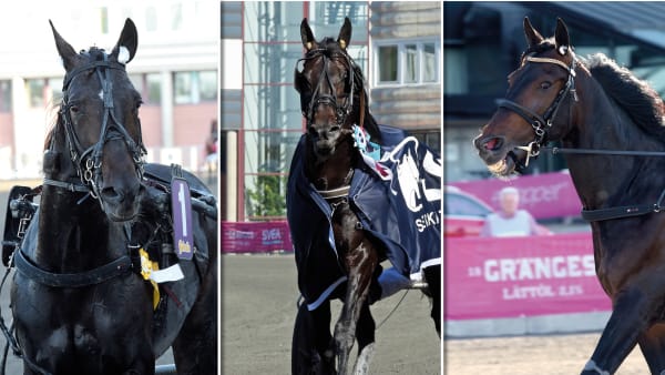 Foto: Lars Jakobsson/TR Bild/Montage