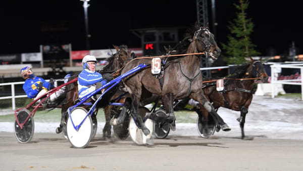 Foto: MALIN ALBINSSON/TR BILD