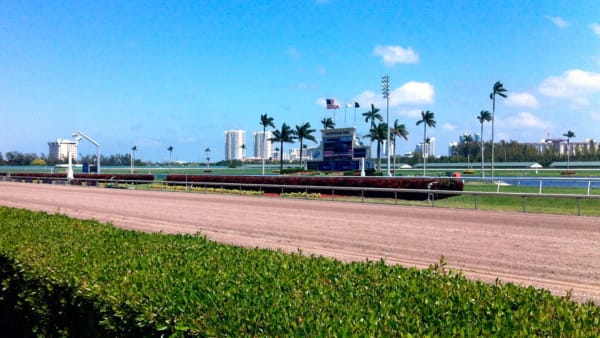 Foto: Micke Gustafsson/Travronden