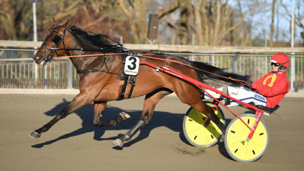 Foto: MALIN ALBINSSON / TR BILD