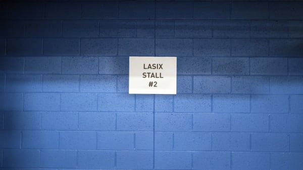 Foto: MIA TÖRNBERG/TR BILD