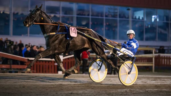 Foto: Ola Westerberg/TR Bild