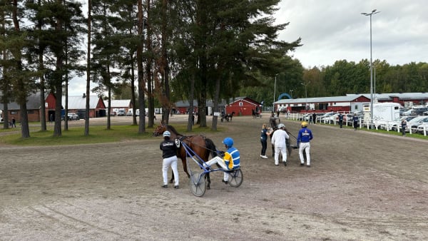 Foto: EMIL PERSSON/TR BILD