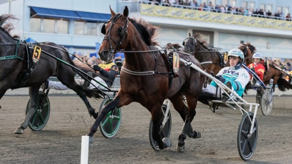 Foto: LENA EMMOTH / TR BILD