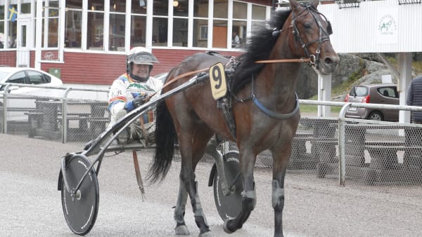 Foto: LENNART KIHLMAN/ALN