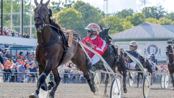 Foto: Burt Seeger/TR Bild