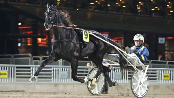 Foto: MARIA HOLMÉN/Travronden