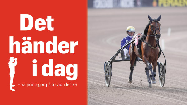 Foto: TR BILD.