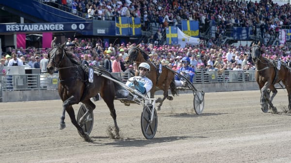 Foto: LARS JAKOBSSON / TR BILD