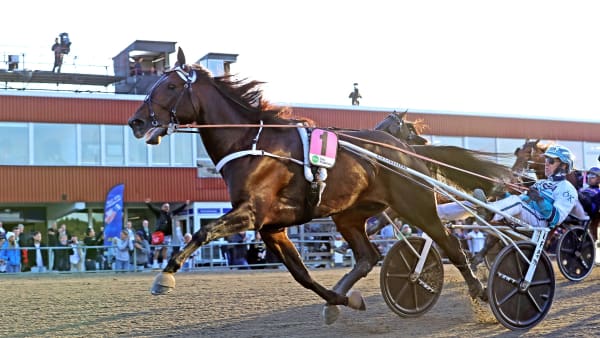 Foto: MARIA HOLMÉN / TR BILD