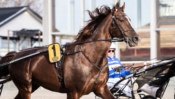 Foto: LENA EMMOTH / TR BILD