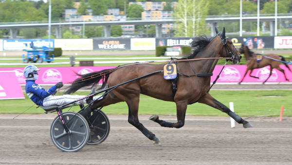 Foto: LARS JAKOBSSON / TR BILD