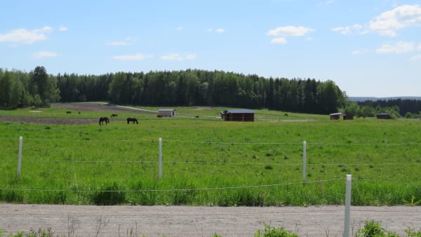 Foto: LENNART KIHLMAN