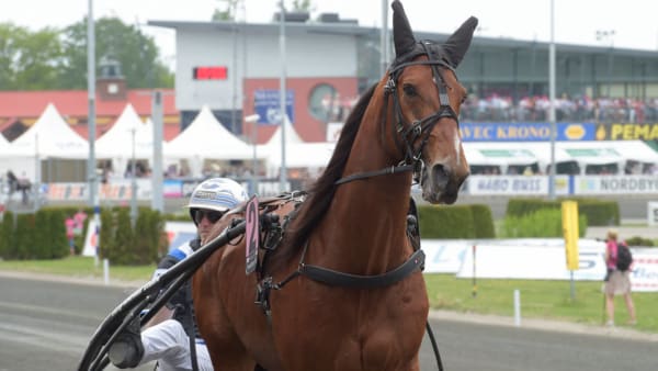 Foto: Lars Jakobsson/TR BILD