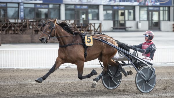 Foto: LENA EMMOTH / TR BILD