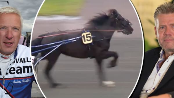 Foto: TR BILD/ATG LIVE