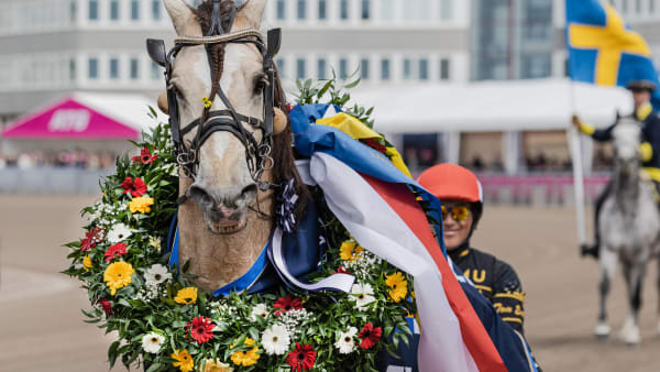 Foto: LENA EMMOTH / TR BILD