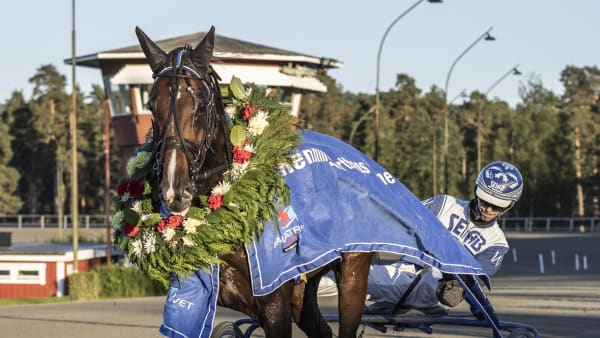 Foto: LENA EMMOTH / TR BILD