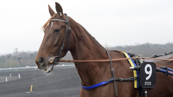 Foto: Lars Jakobsson/TR Bild