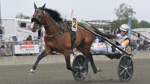 Foto: LARS JAKOBSSON / TR BILD