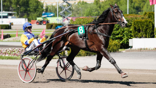 Foto: LENA EMMOTH / TR BILD