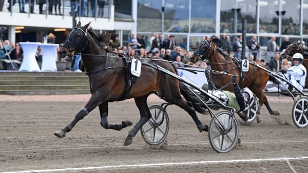 Foto: MALIN ALBINSSON / TR BILD