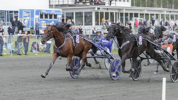 Foto: LENA EMMOTH / TR BILD