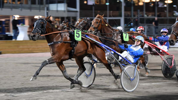 Foto: MALIN ALBINSSON/TR BILD