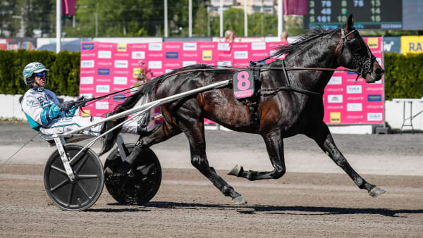 Foto: LENA EMMOTH / TR BILD