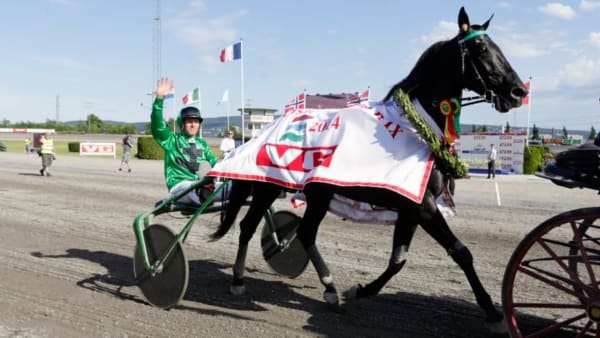 Foto: URBAN KIHLMAN/ALN