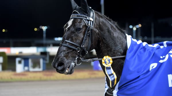 Foto: LARS JAKOBSSON / TR BILD