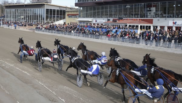 Foto: MICKE GUSTAFSSON/KANAL 75