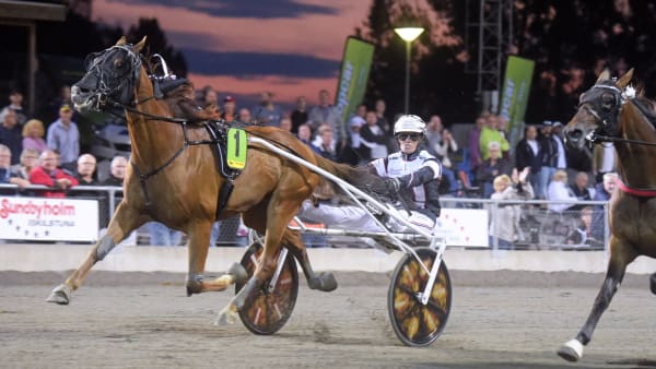 Foto: Martin Langels/ALN