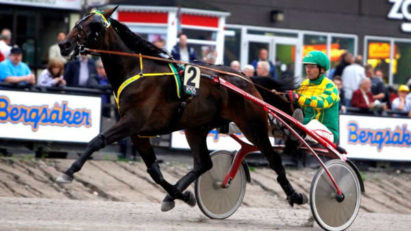 Foto: MICKE GUSTAFSSON/ALN