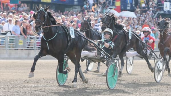 Foto: MIA TÖRNBERG/TRAVRONDEN