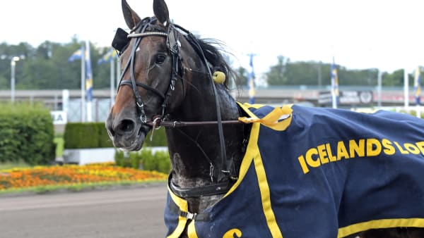 Foto: LARS JAKOBSSON / TR BILD