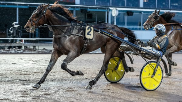 Foto: LENA EMMOTH / TR BILD