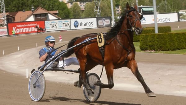 Foto: MICKE GUSTAFSSON