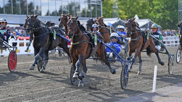 Foto: MALIN ALBINSSON / TR BILD