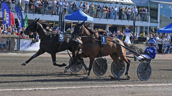 Foto: MALIN ALBINSSON / TR BILD