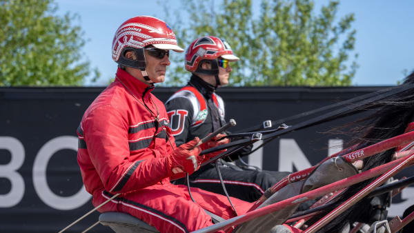 Foto: THOMAS BLOMQVIST / TR BILD