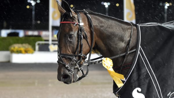 Foto: LARS JAKOBSSON / TR BILD