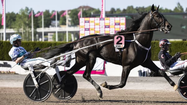 Foto: LENA EMMOTH / TR BILD