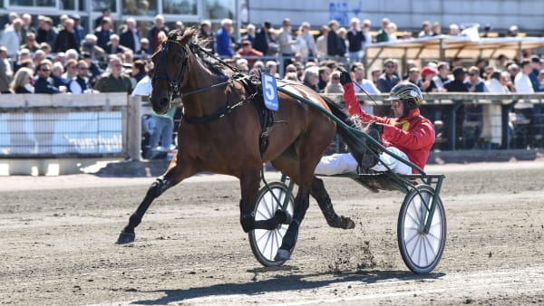 Foto: MALIN ALBINSSON / TR BILD