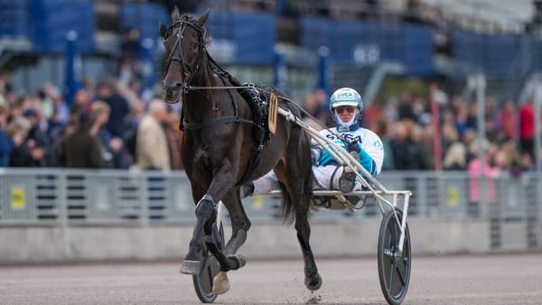 Foto: THOMAS BLOMQVIST / TR BILD