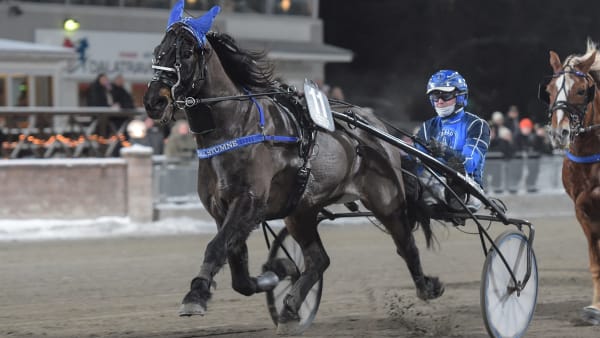 Stumne Fyr, här vid seger på Romme 2024, vann Sleipner Bollnäs månadstäcke.