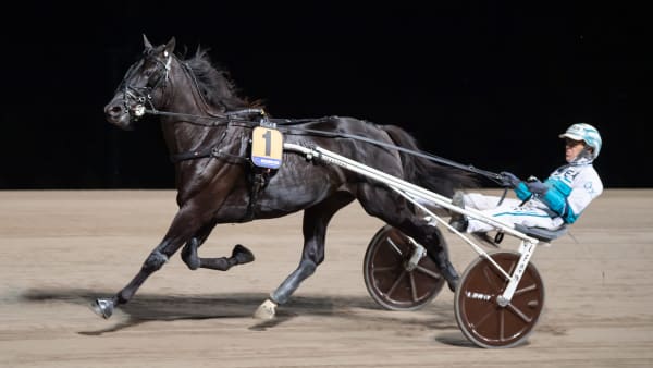 Foto: MIKAEL ROSENQUIST / TR BILD